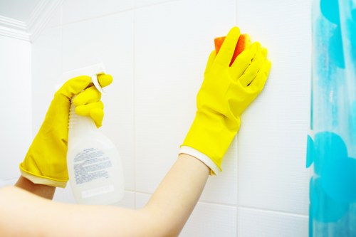 Deep cleaning equipment used for mattress cleaning in Highgate