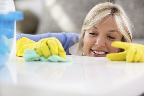 Professional hot water extraction process for carpet cleaning