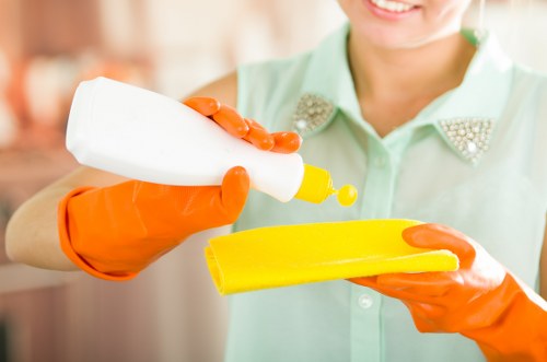 Highgate Carpet Cleaners team demonstrating safe and careful cleaning procedures